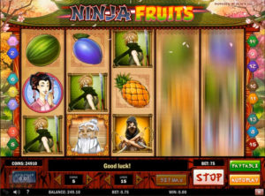 Ninja Fruits slotmaskinen SS-05