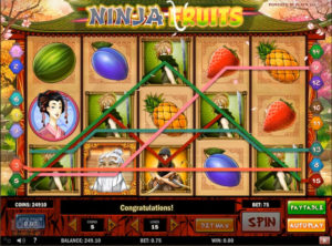 Ninja Fruits slotmaskinen SS-06