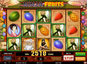 Ninja Fruits slotmaskinen SS-08