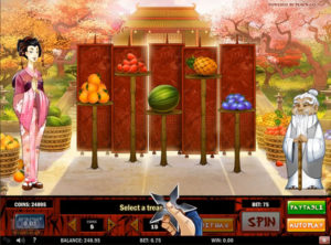 Ninja Fruits slotmaskinen SS-12