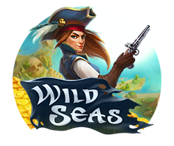 Wild-Seas_small logo