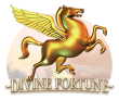 Divine-Fortune_small logo