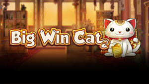 Big-Win-Cat_Banner-1000freespins