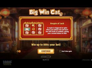 Big-Win-Cat_slotmaskinen-01