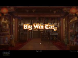 Big-Win-Cat_slotmaskinen-02