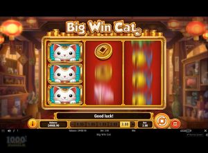 Big-Win-Cat_slotmaskinen-07