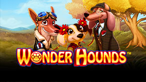 Wonder-Hounds_Banner-1000freespins